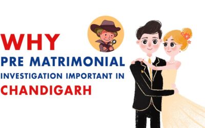 Why pre matrimonial investigation important in Chandigarh: