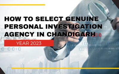 What Are the Services Provided by Detective Agencies in Chandigarh?